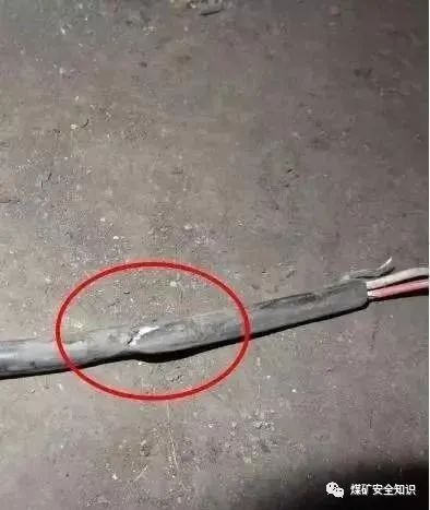 1587460422267972.jpg 8.jpg