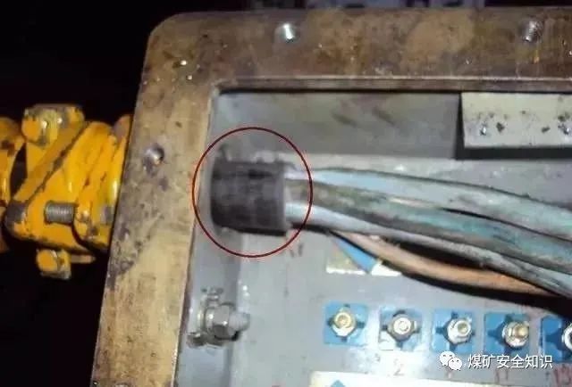 1587461005713486.jpg 40.jpg