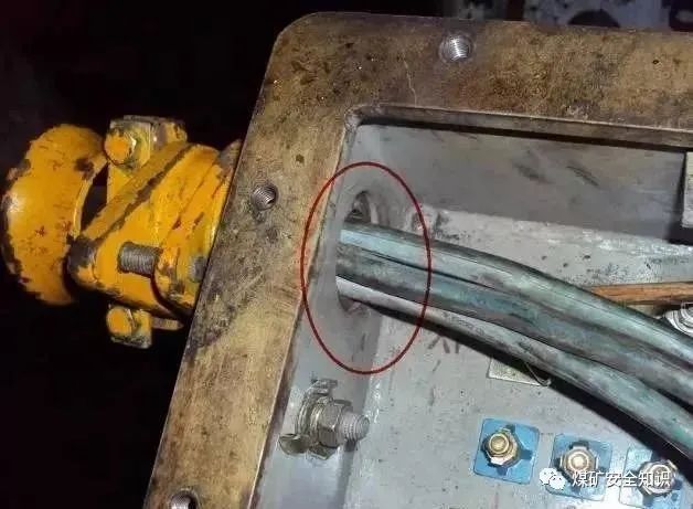 1587461017719038.jpg 41.jpg