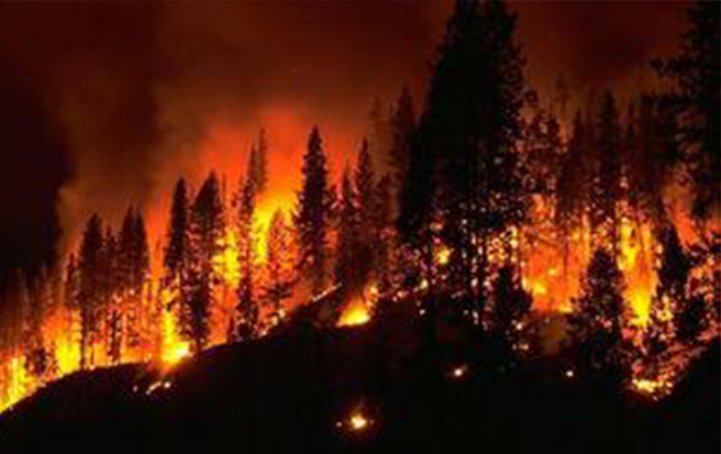 1603959606526346.jpg 1.jpg