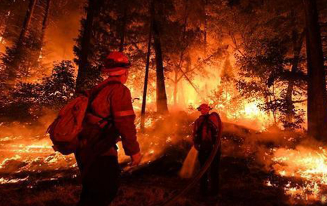 1603959650975861.jpg 2.jpg