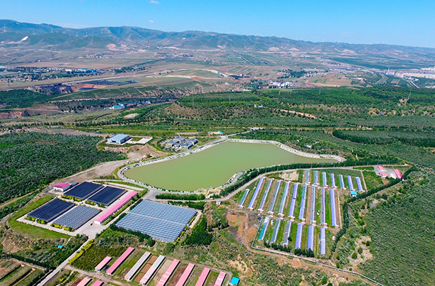 1640851858224995.jpg 3.jpg