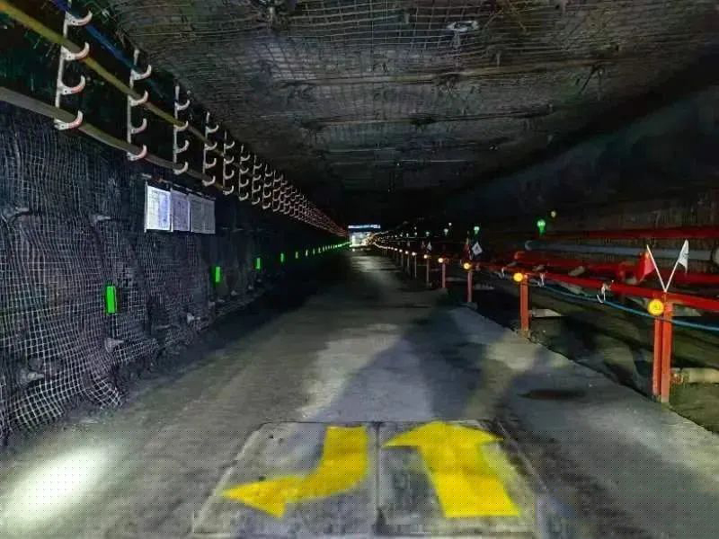 1701073800853156.jpg 01.jpg