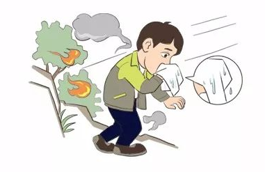 1742959862207988.png 03.png