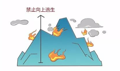 1742959933622662.png 05.png