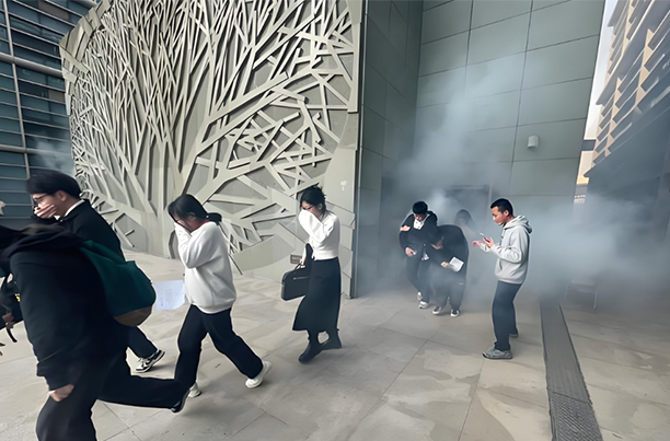 1745999036970026.jpg 002.jpg