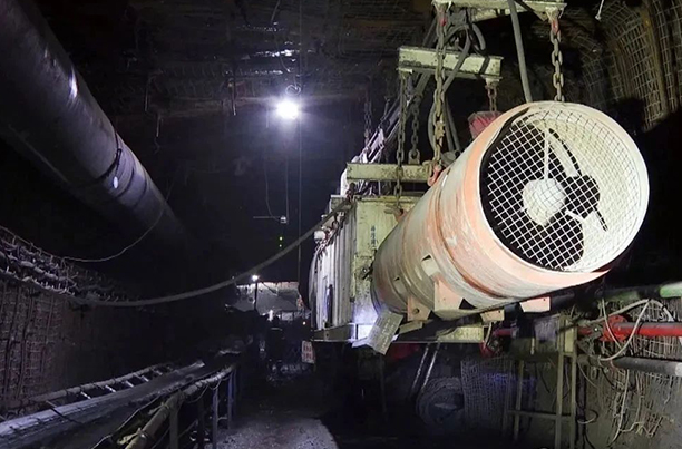 1750148400966928.jpg 01.jpg